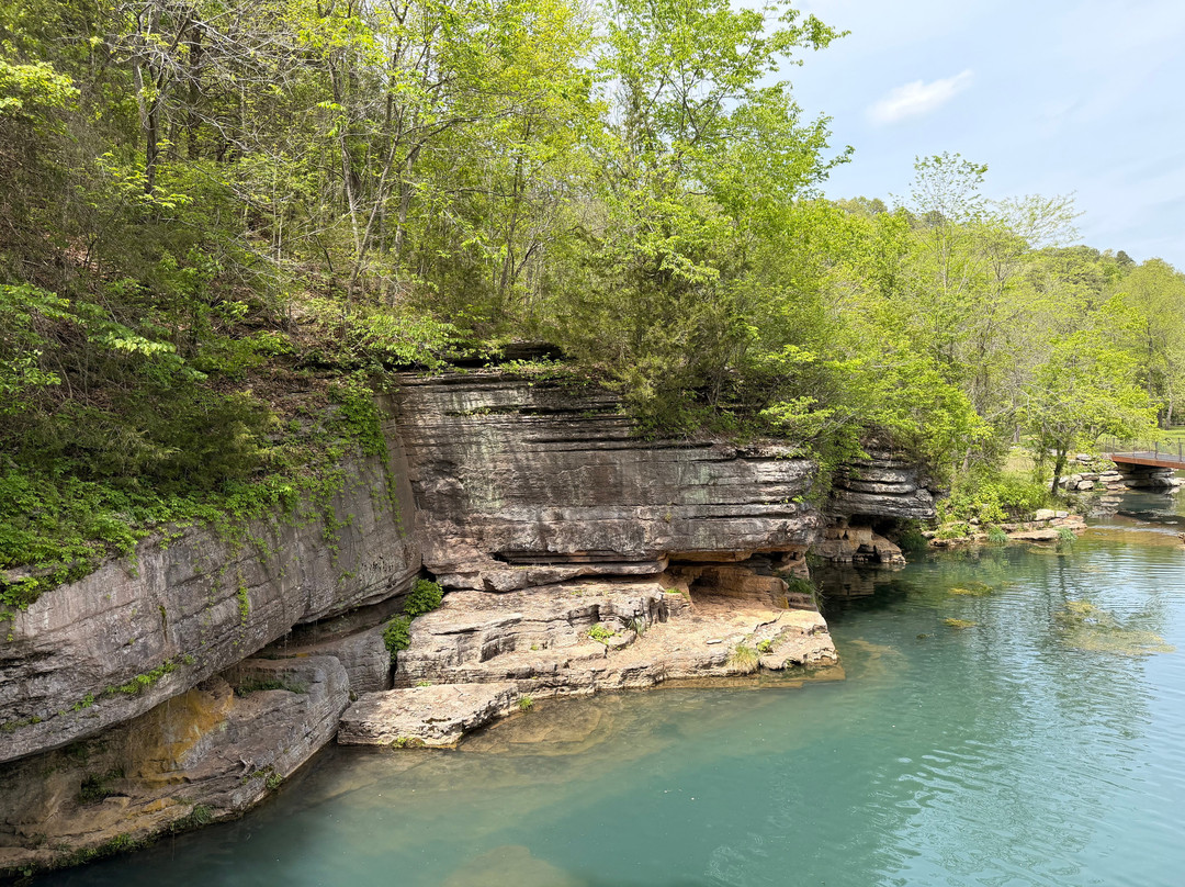 Dogwood Canyon Nature Park-Lampe必去景点