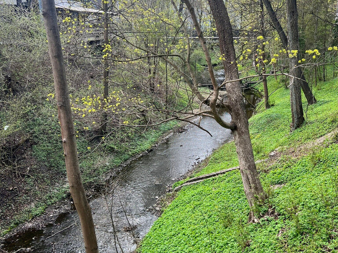 Kaliningrad Zoopark-加里宁格勒必去景点