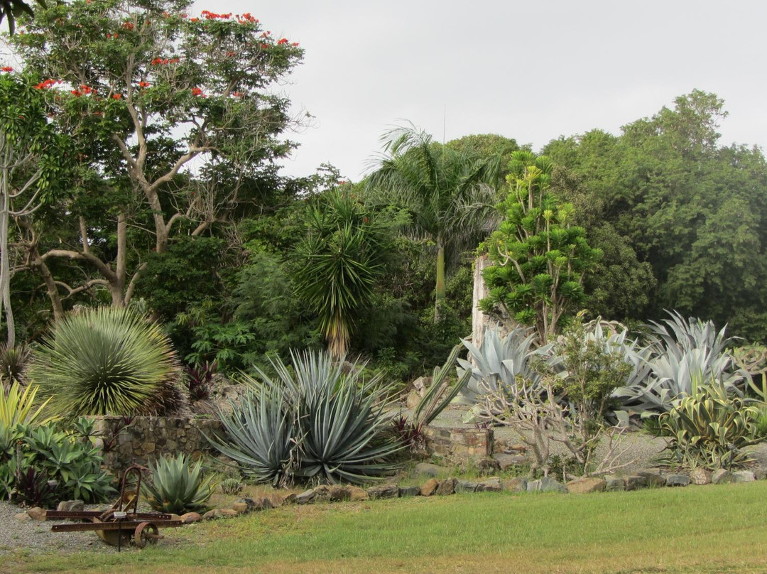 St. George Village Botanical Garden-Frederiksted必去景点