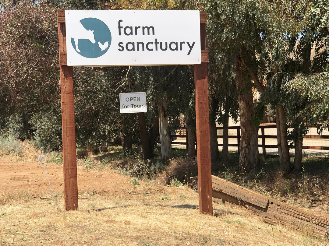 Farm Sanctuary-ACTON)必去景点