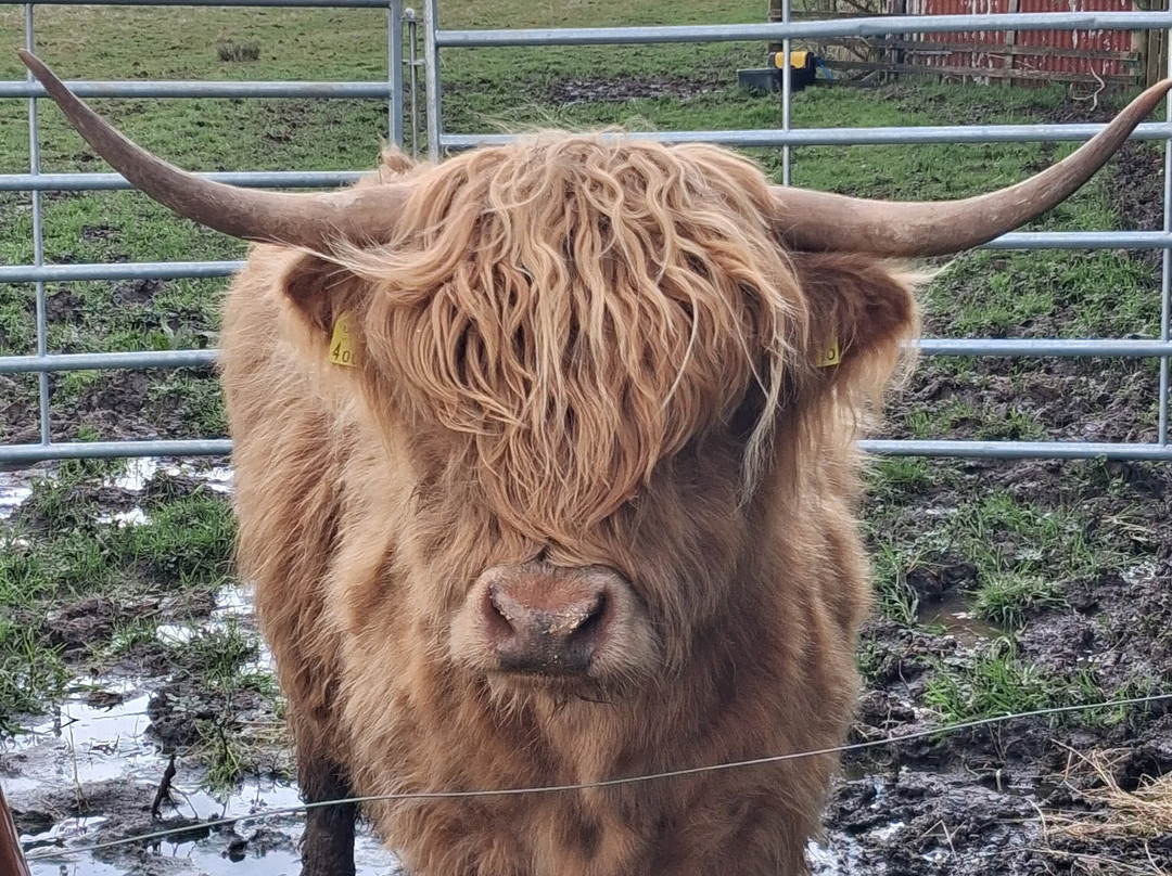 Craigbank Farm-Kilmarnock必去景点