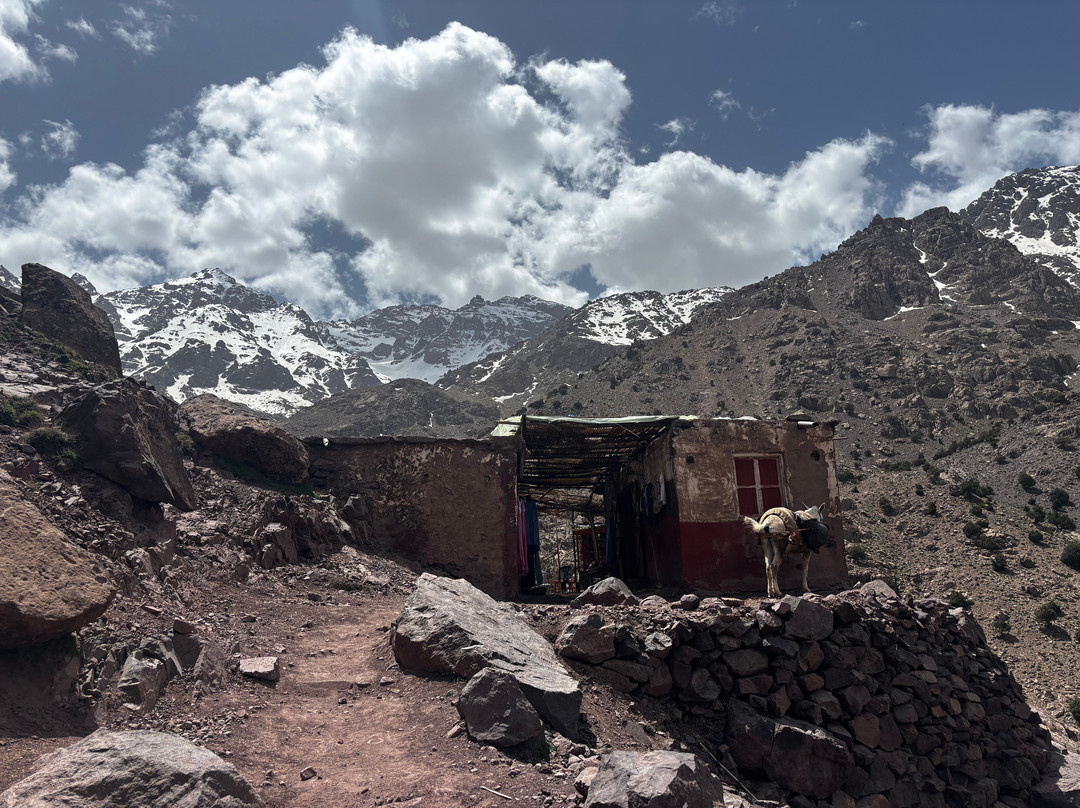 Active Treks Morocco-马拉喀什必去景点