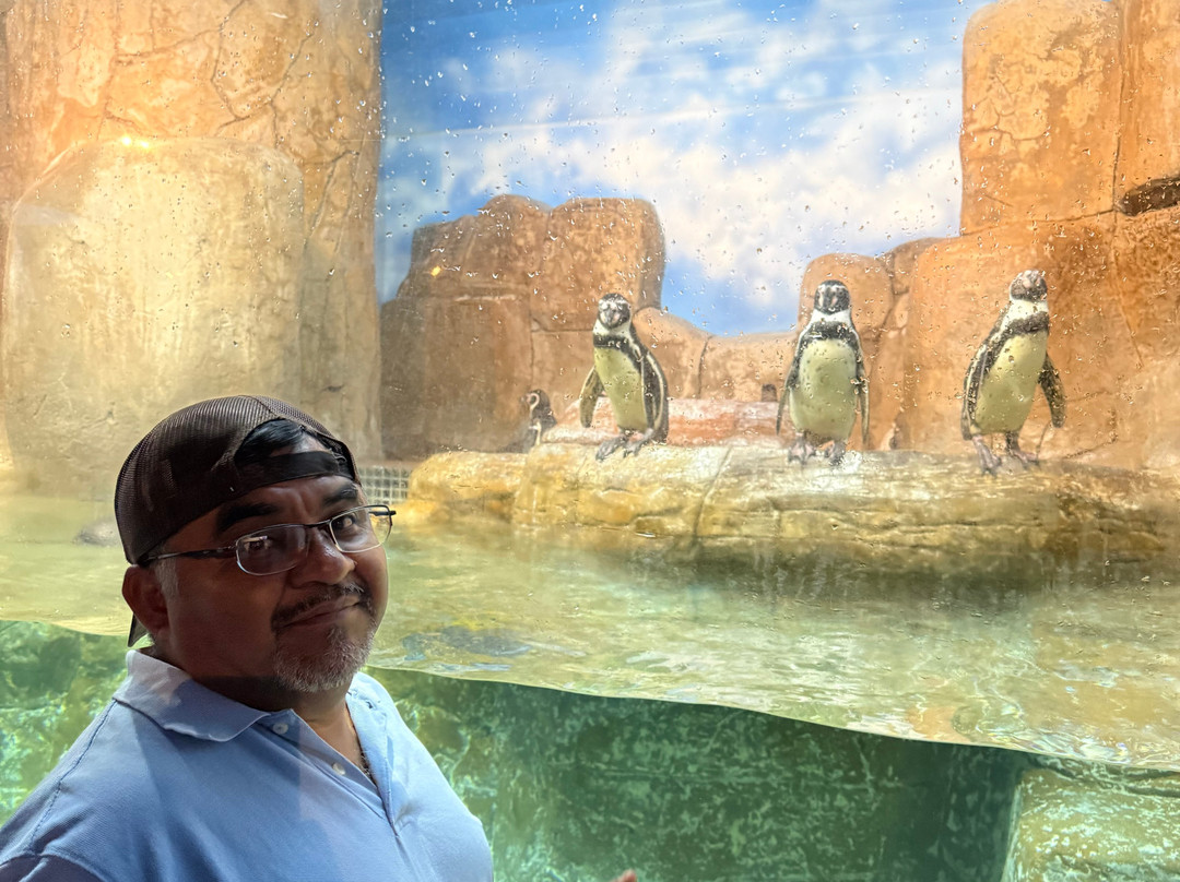 Acuario Michin Ciudad De Mexico-墨西哥城必去景点