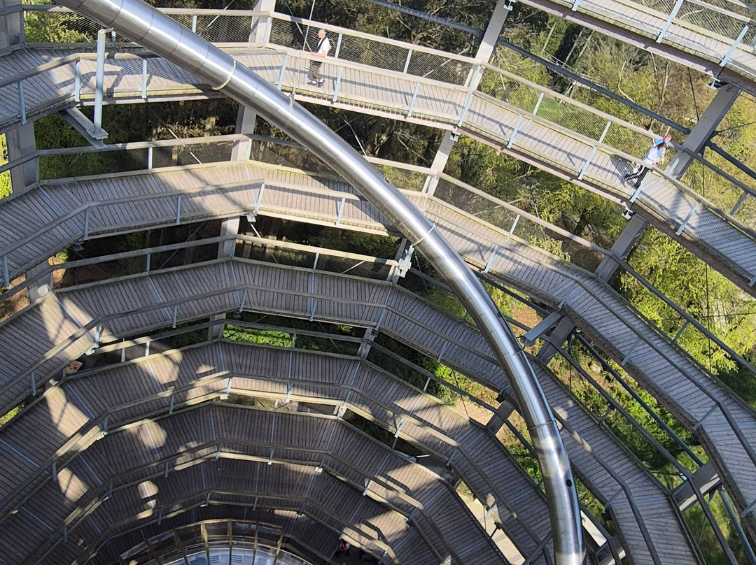 Treetop Walk Avondale-Rathdrum必去景点