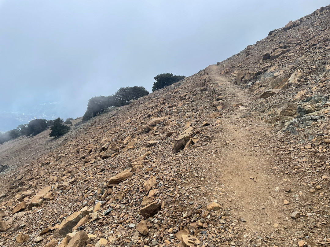 Artemis Nature Trail-特罗多斯必去景点