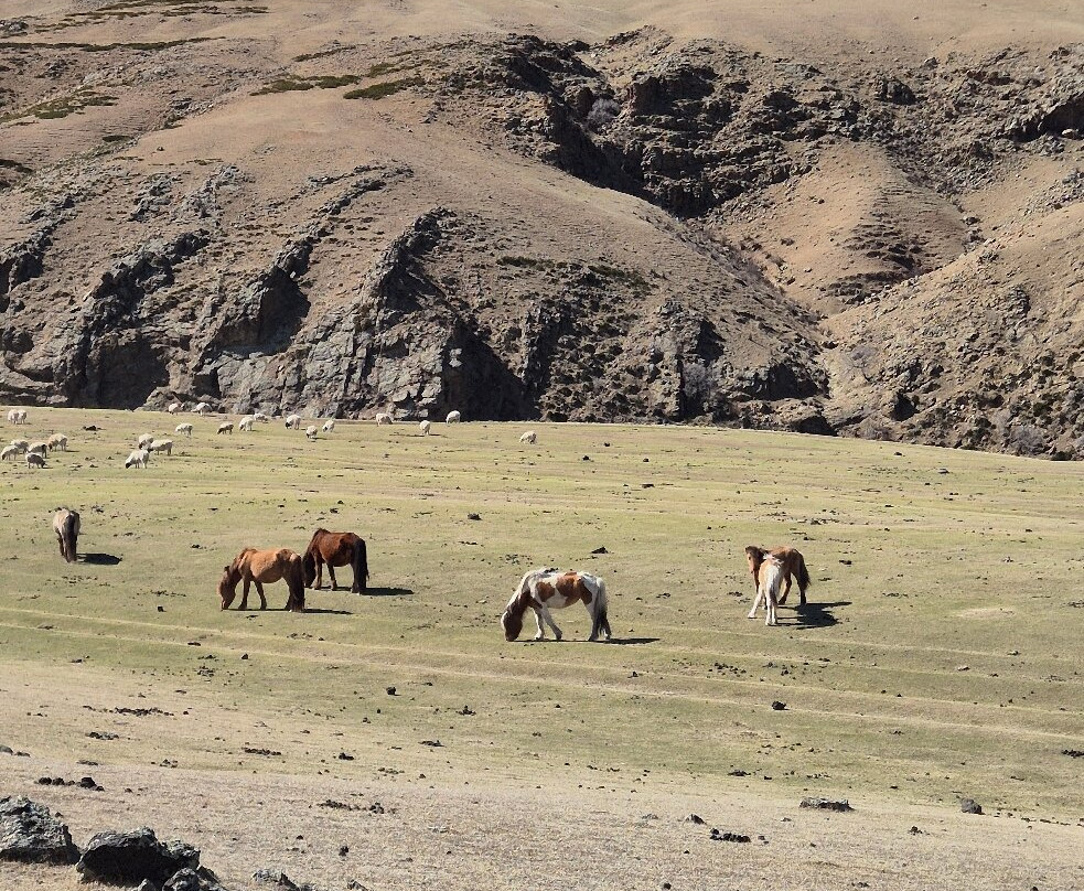 Sunpath Mongolia-乌兰巴托必去景点