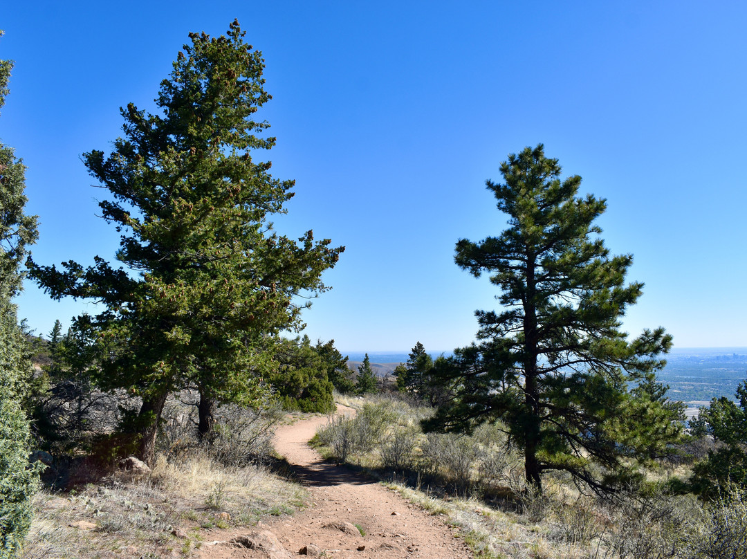 Mount Falcon Castle Trail-Morrison必去景点