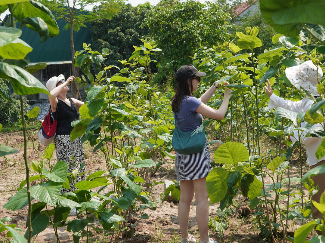 Silk Farm Bến Giá-宁平必去景点