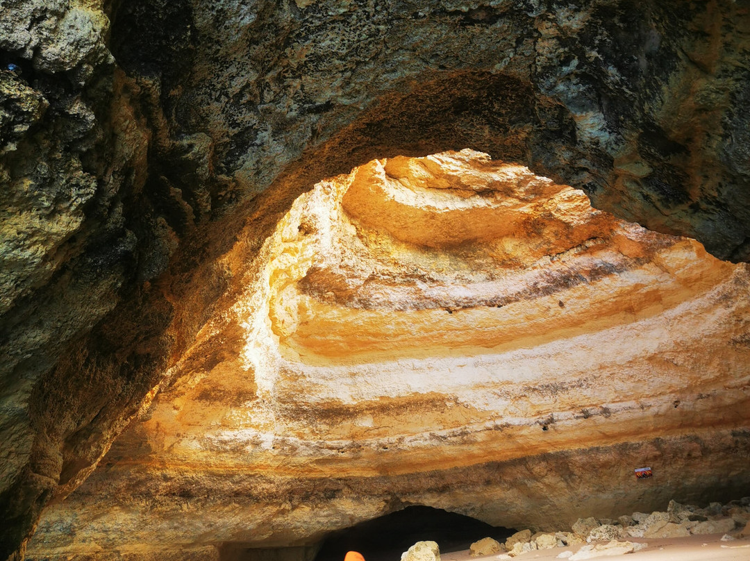 Treasure Tours-Porches必去景点