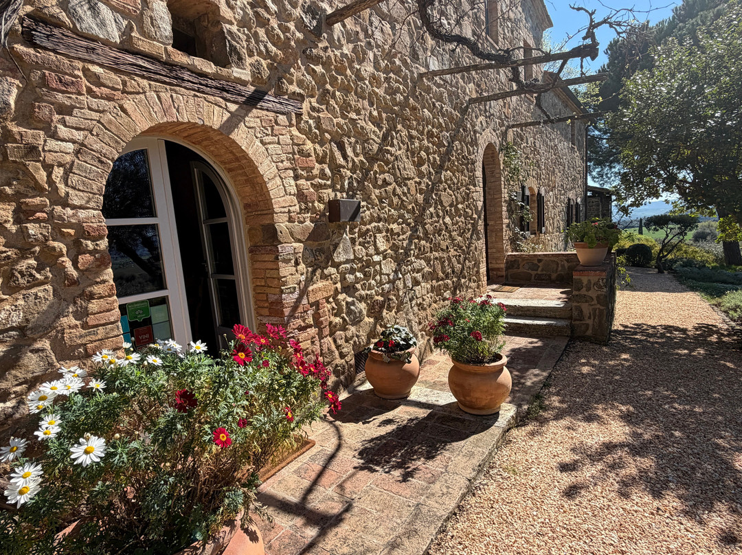 Máté Winery-蒙塔尔奇诺必去景点
