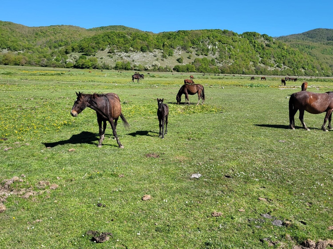 Ranch Brionna-Castel di Sangro必去景点