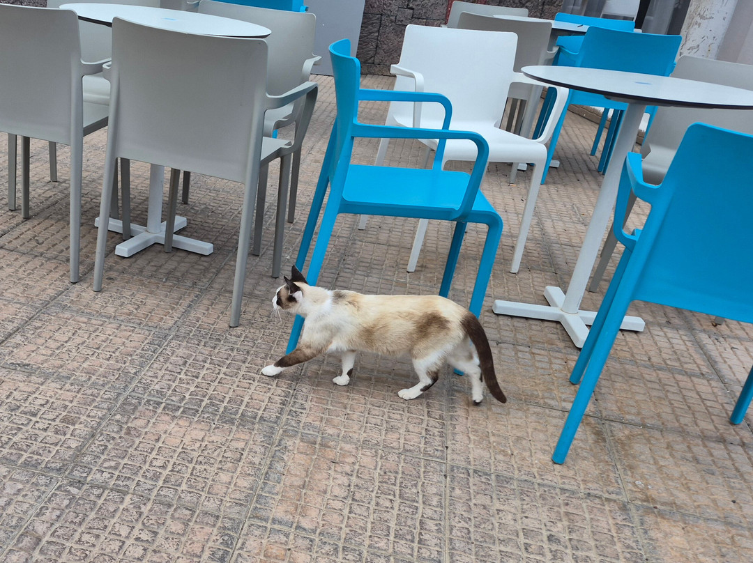 巴斯蒂安科斯塔蓝海酒店主图