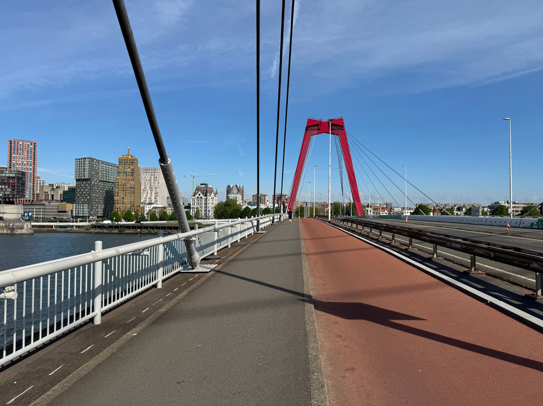 Willemsbrug-鹿特丹必去景点