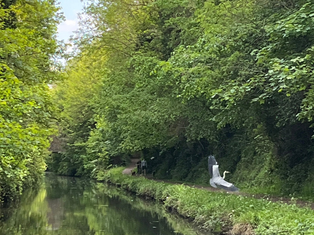 Narrowboat Day Hire-Tring必去景点