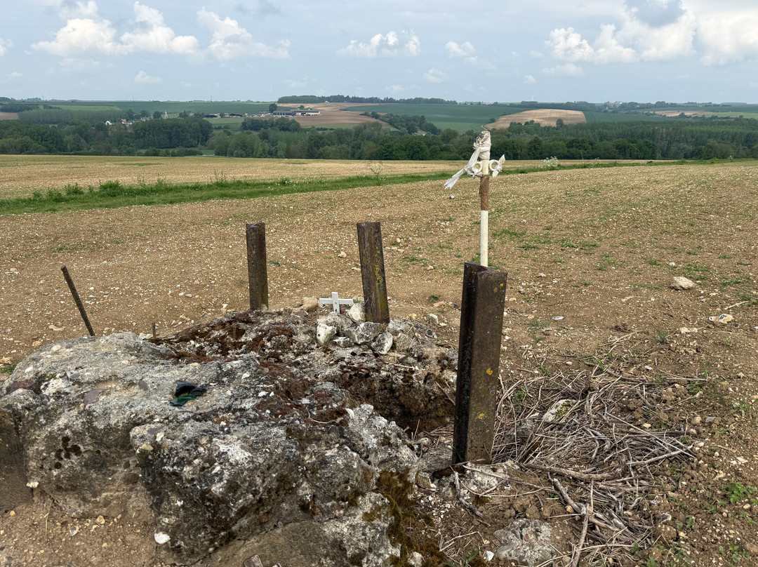 Ulster Memorial Tower & Thiepval Wood-Thiepval必去景点
