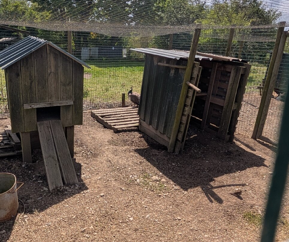 Dwyfor Ranch Rabbit Farm and Animal Park-Llanystumdwy必去景点