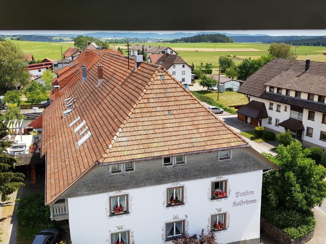Uehlingen-Birkendorf酒店住宿-Pension Kaiserhaus