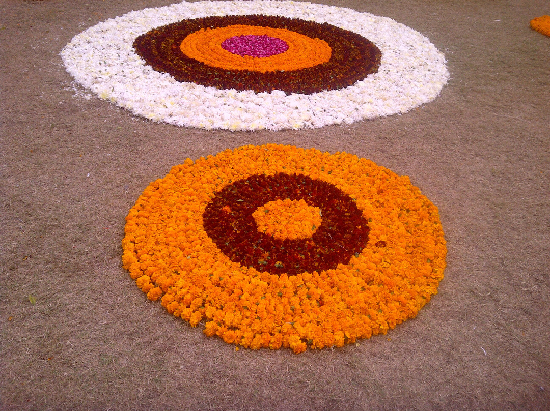 Oshodham, Osho Dhyan Mandir-新德里必去景点