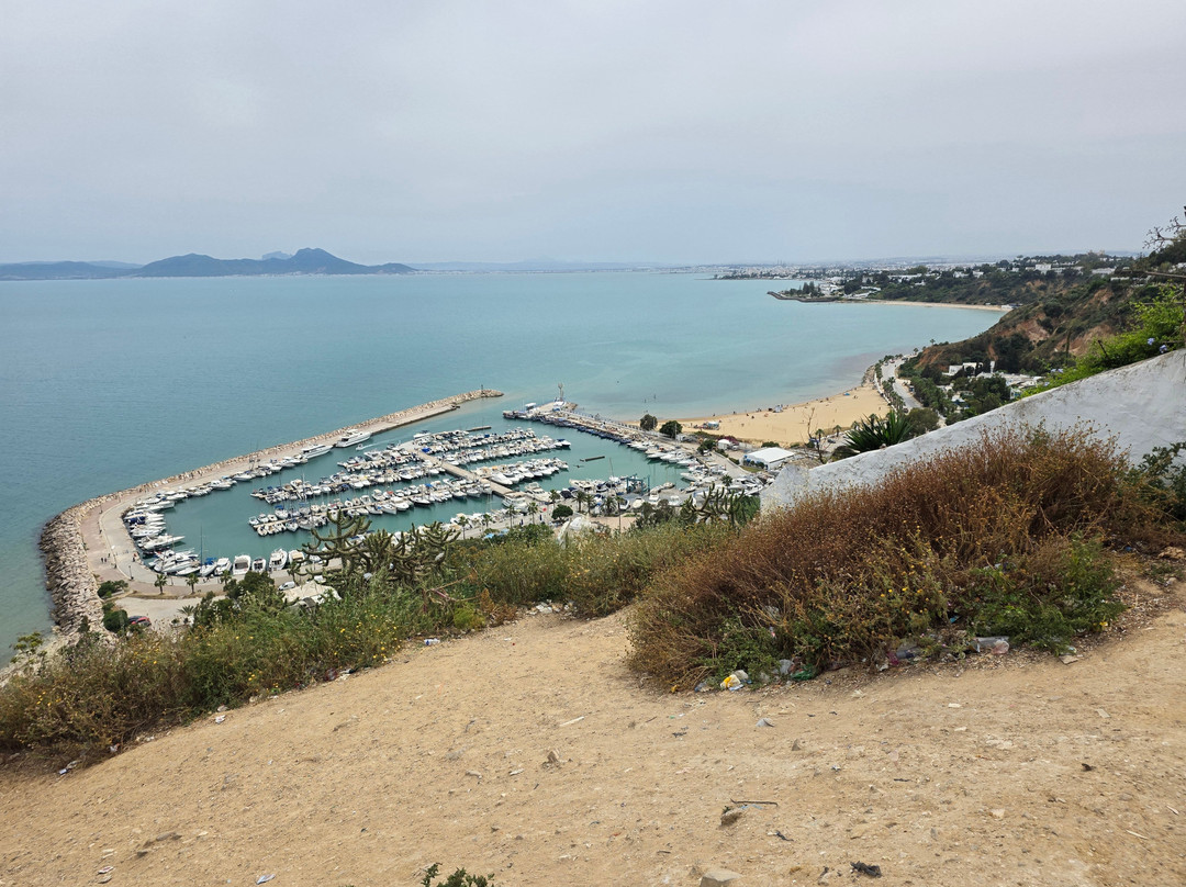 TMK Flora Park 由Turismark提供主图