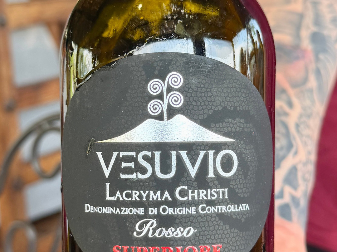 Cantina del Vesuvio Winery-Trecase必去景点