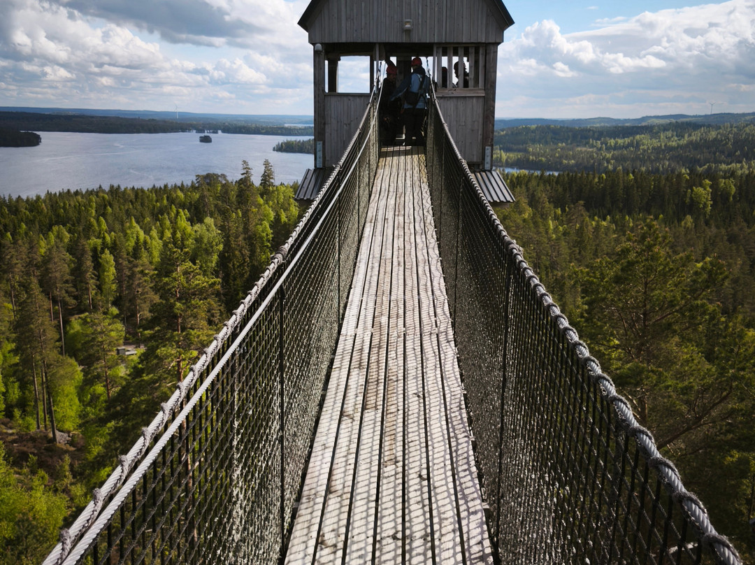 Sweden Zipline-Klavrestrom必去景点