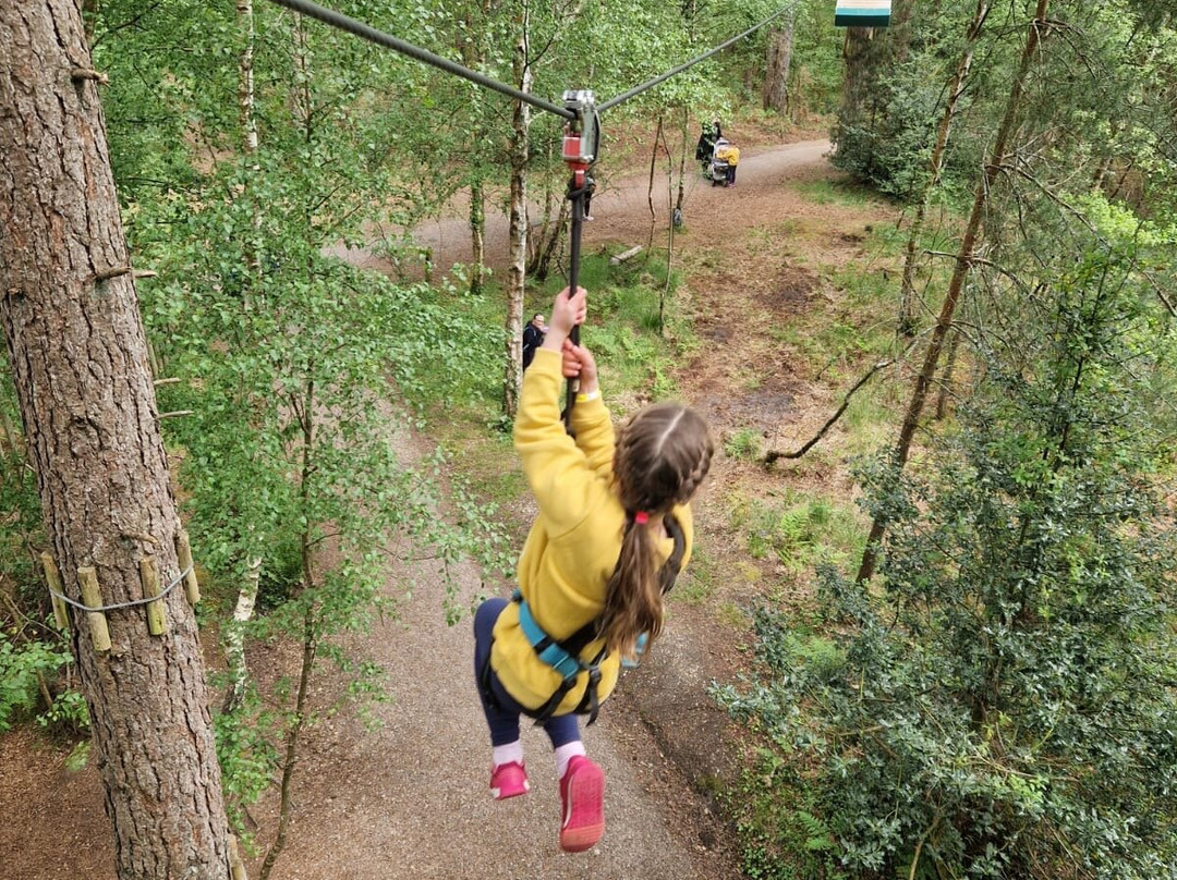 Go Ape Moors Valley-Ringwood必去景点