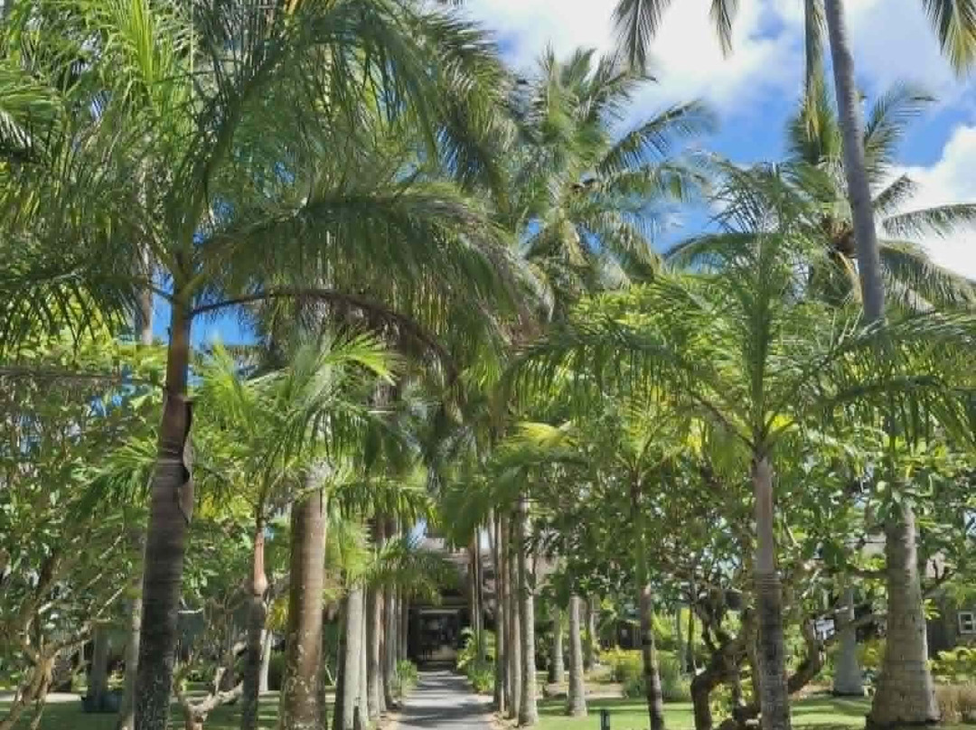 山德拉妮巨浪水疗度假村主图