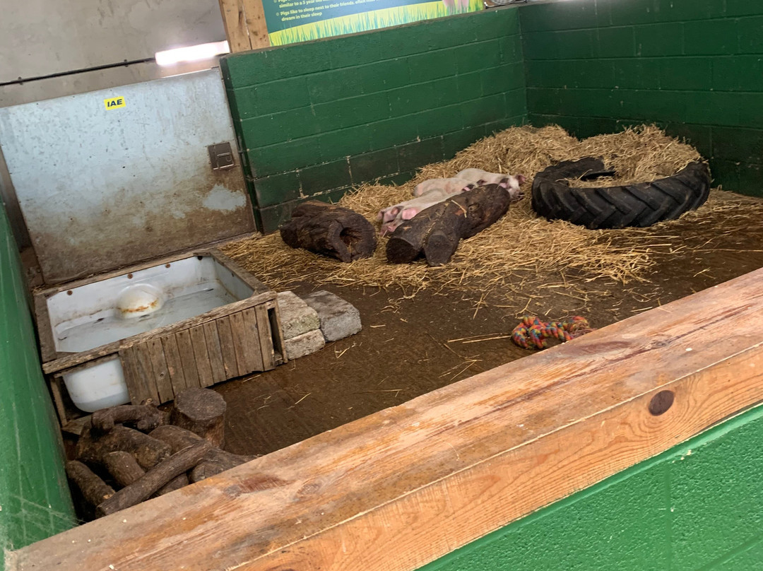 Chobham Adventure Farm-Chobham必去景点