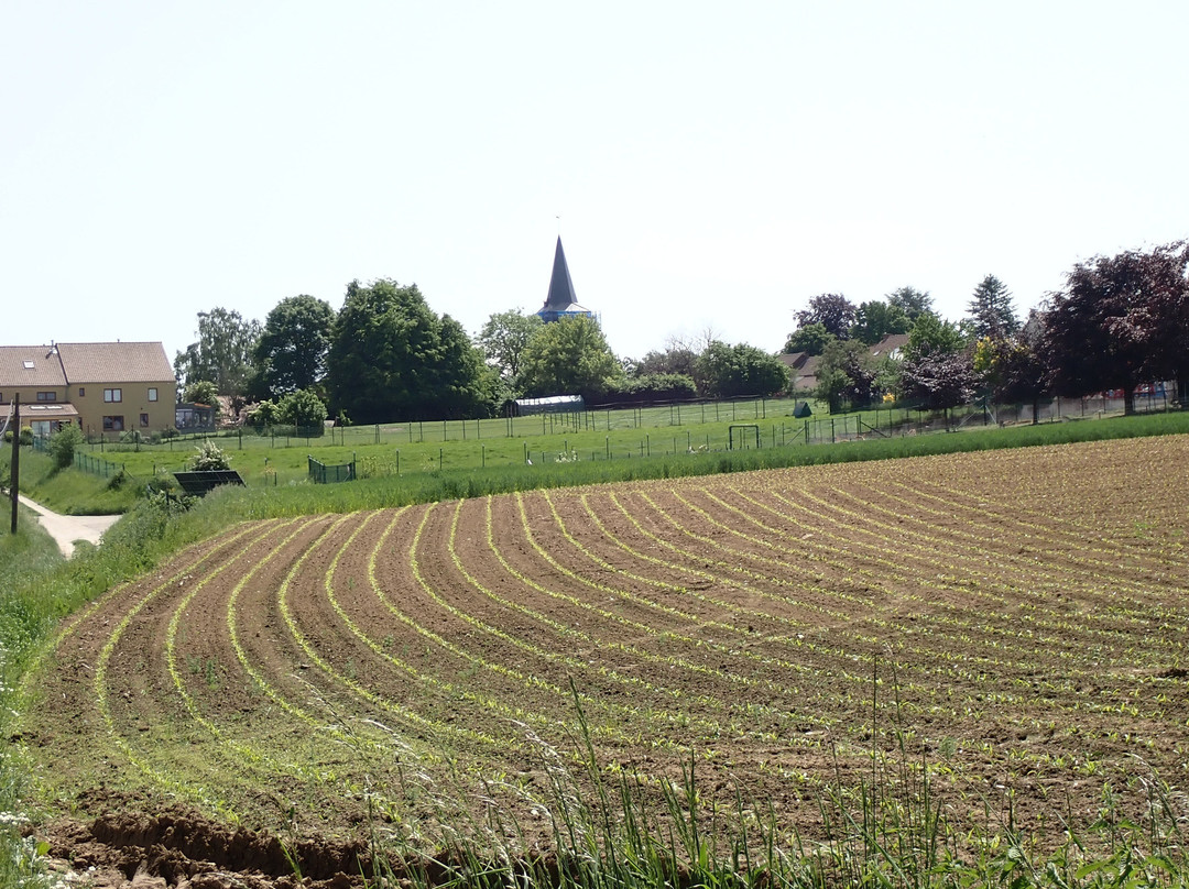 La transincourtoise
