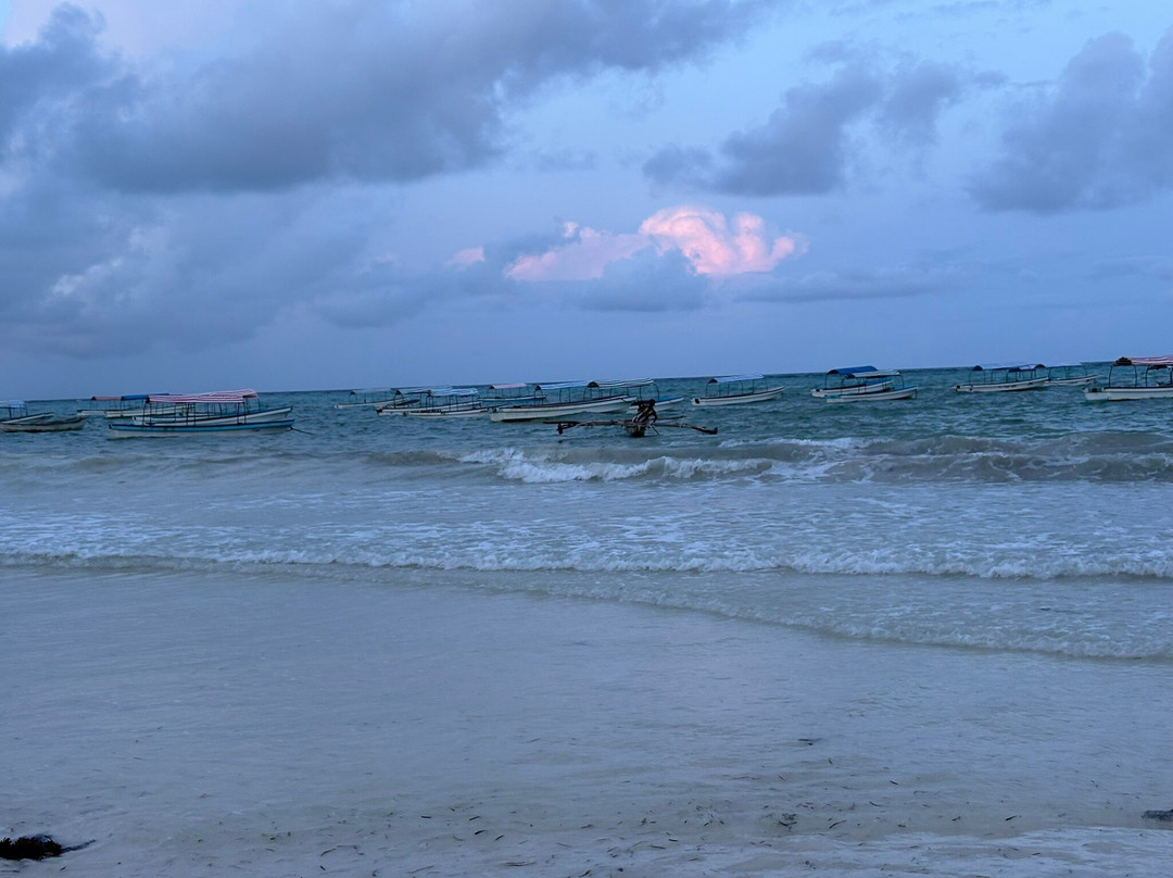 Alladin Boutique Beach Hotel And Spa Zanzibar主图