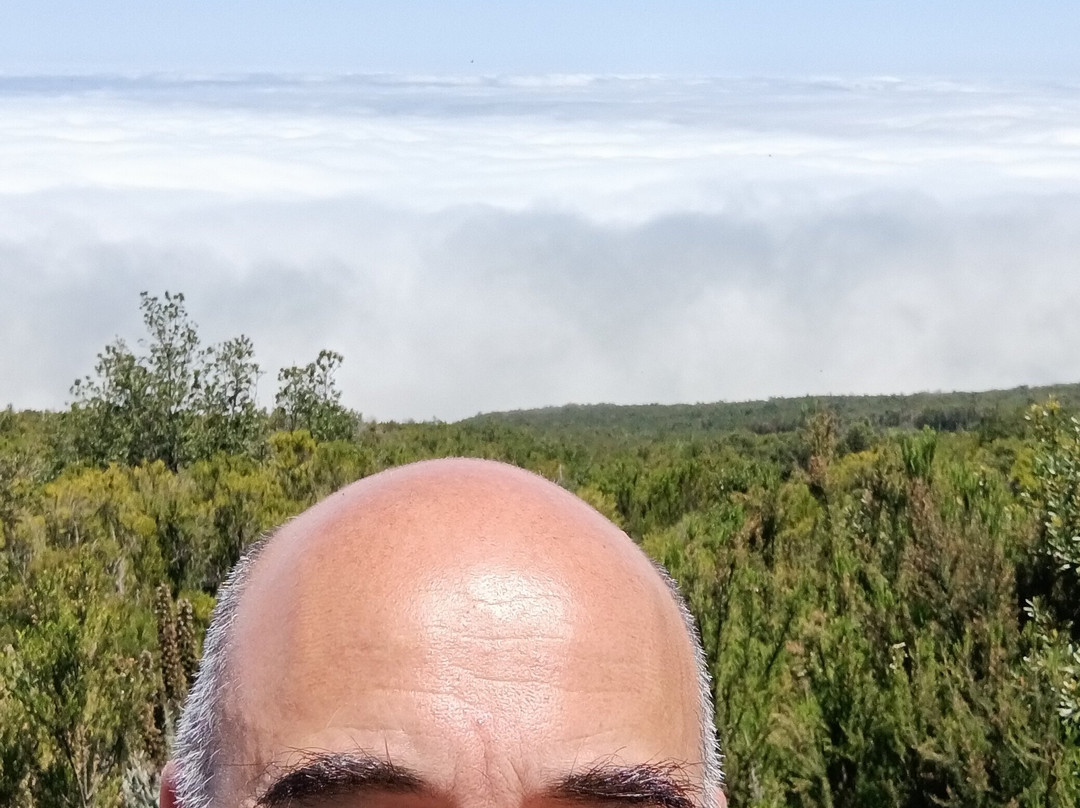 泰德峰火山-特纳里夫必去景点
