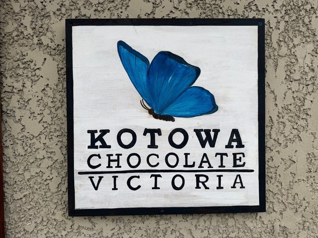 Kotowa Chocolate Victoria