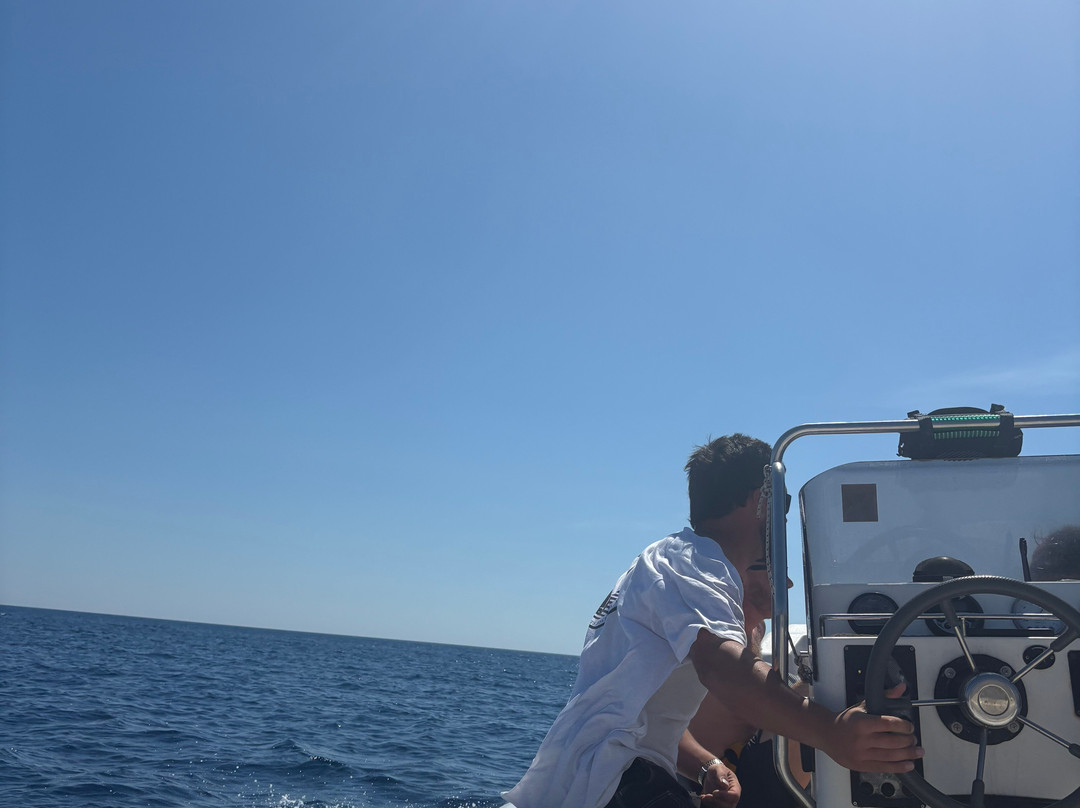 Meltemi Boat Tours, Watersports & Diving-Milopotas必去景点