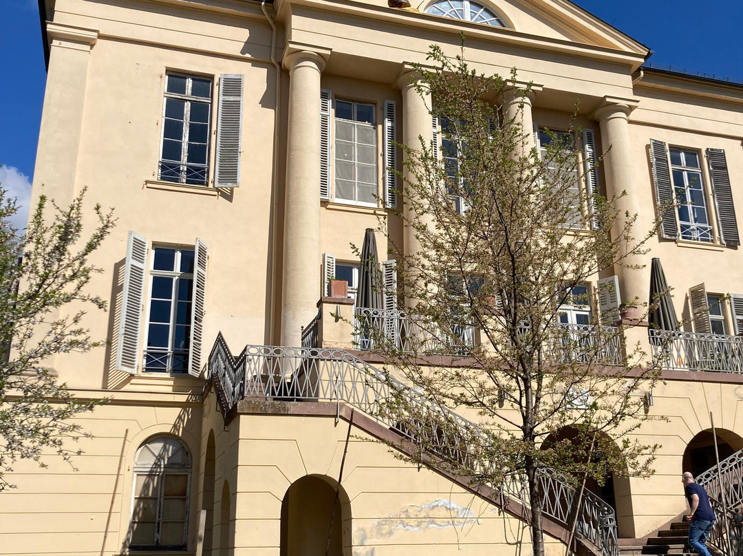Schloss Freudenberg-威斯巴登必去景点