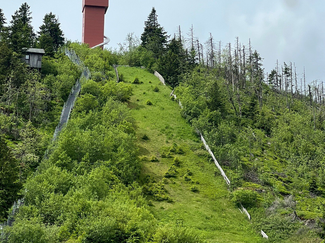 Wurmbergseilbahn Braunlage-布劳恩拉格必去景点
