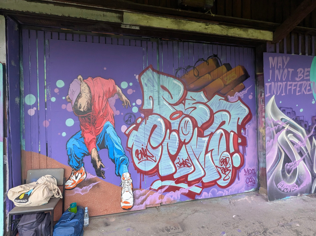 Wasa Graffitilandia-瓦萨必去景点