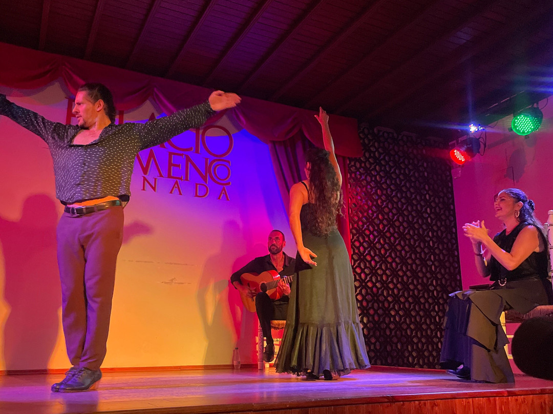 Palacio Flamenco Granada-格拉纳达必去景点