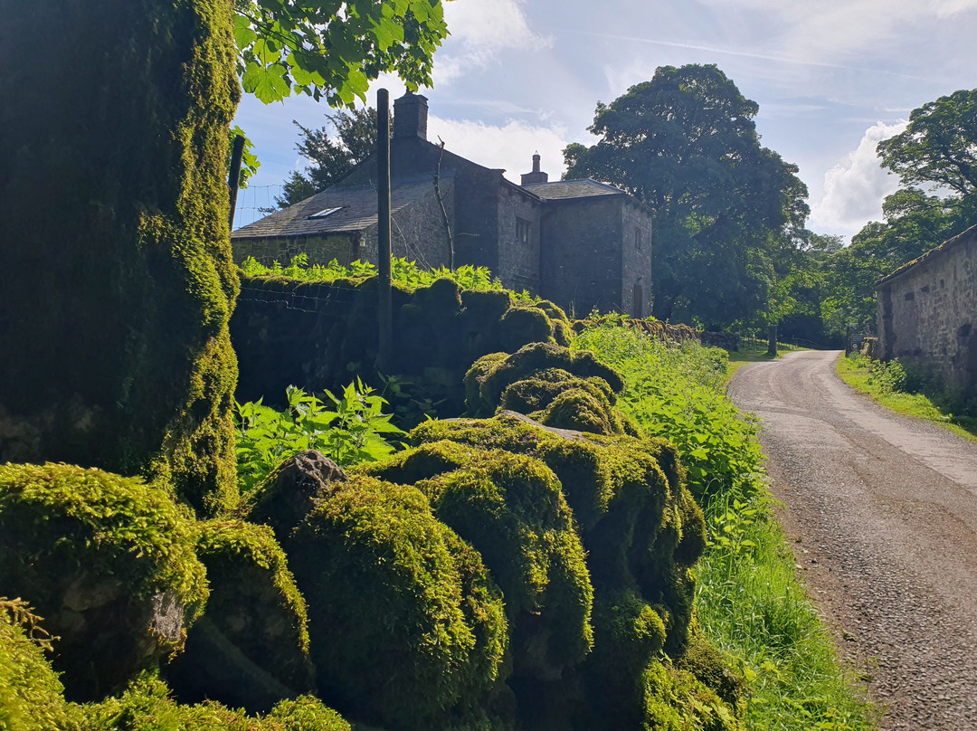 Malham Tarn-Malham必去景点