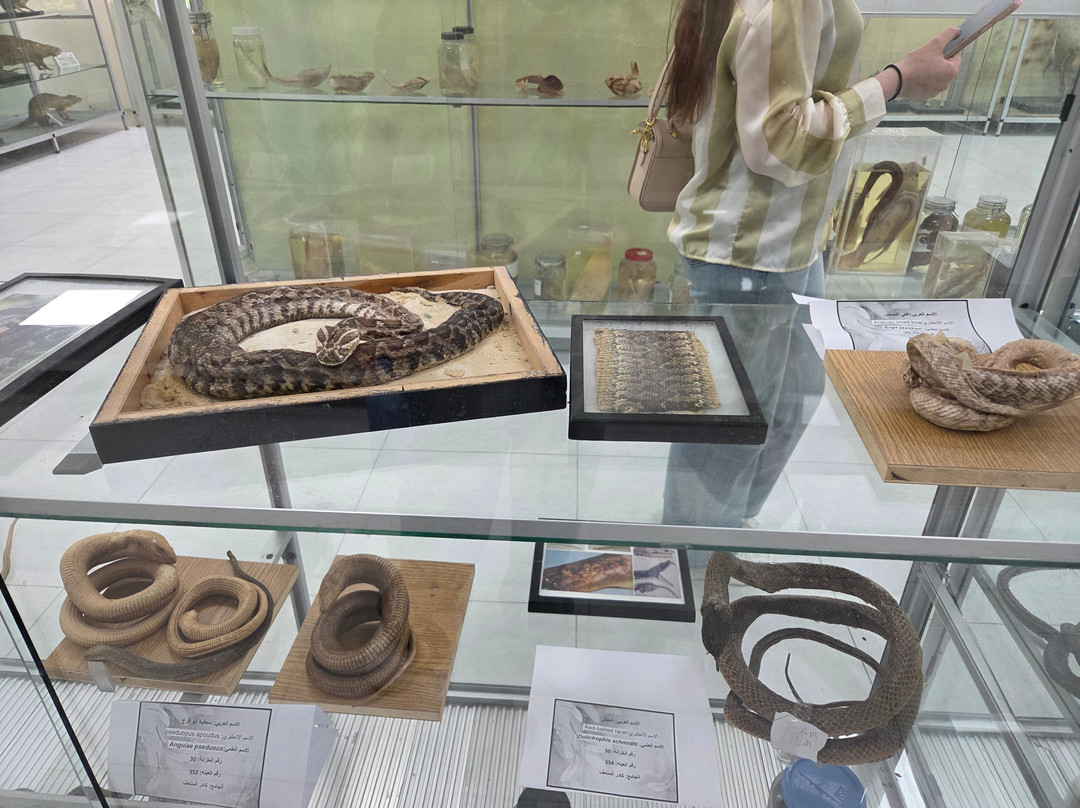 Jordanian Natural History Museum-Irbid必去景点