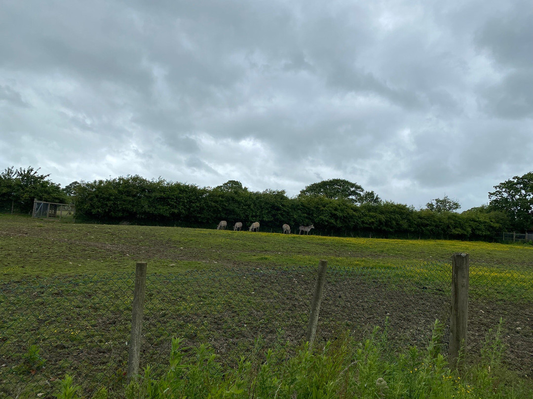 The Lake District Wildlife Park-Bassenthwaite必去景点