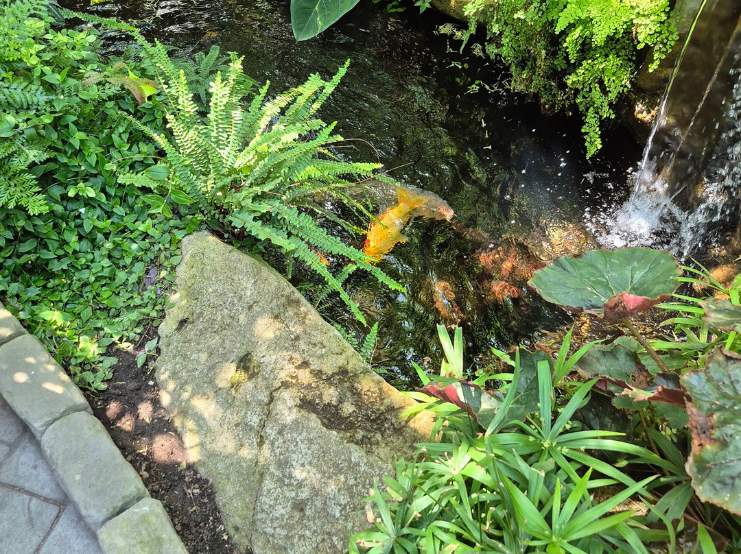 W.W. Seymour Botanical Conservatory-塔科马必去景点