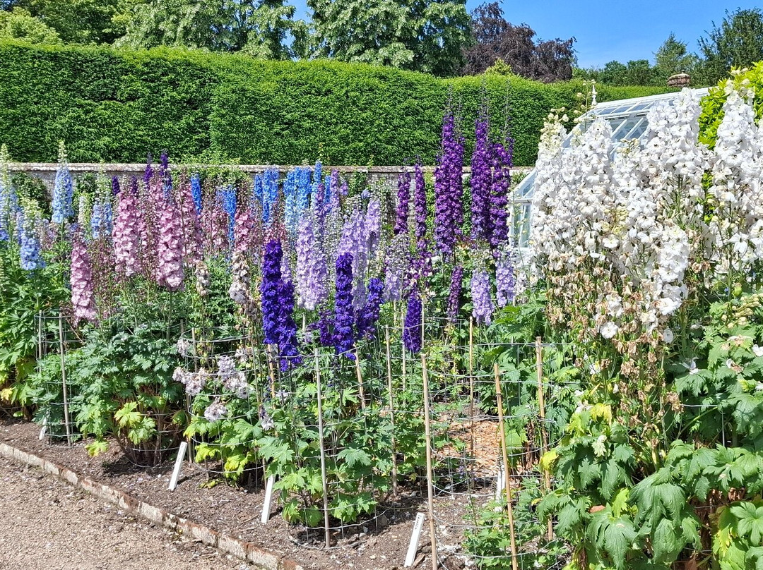 West Dean Gardens-奇切斯特必去景点