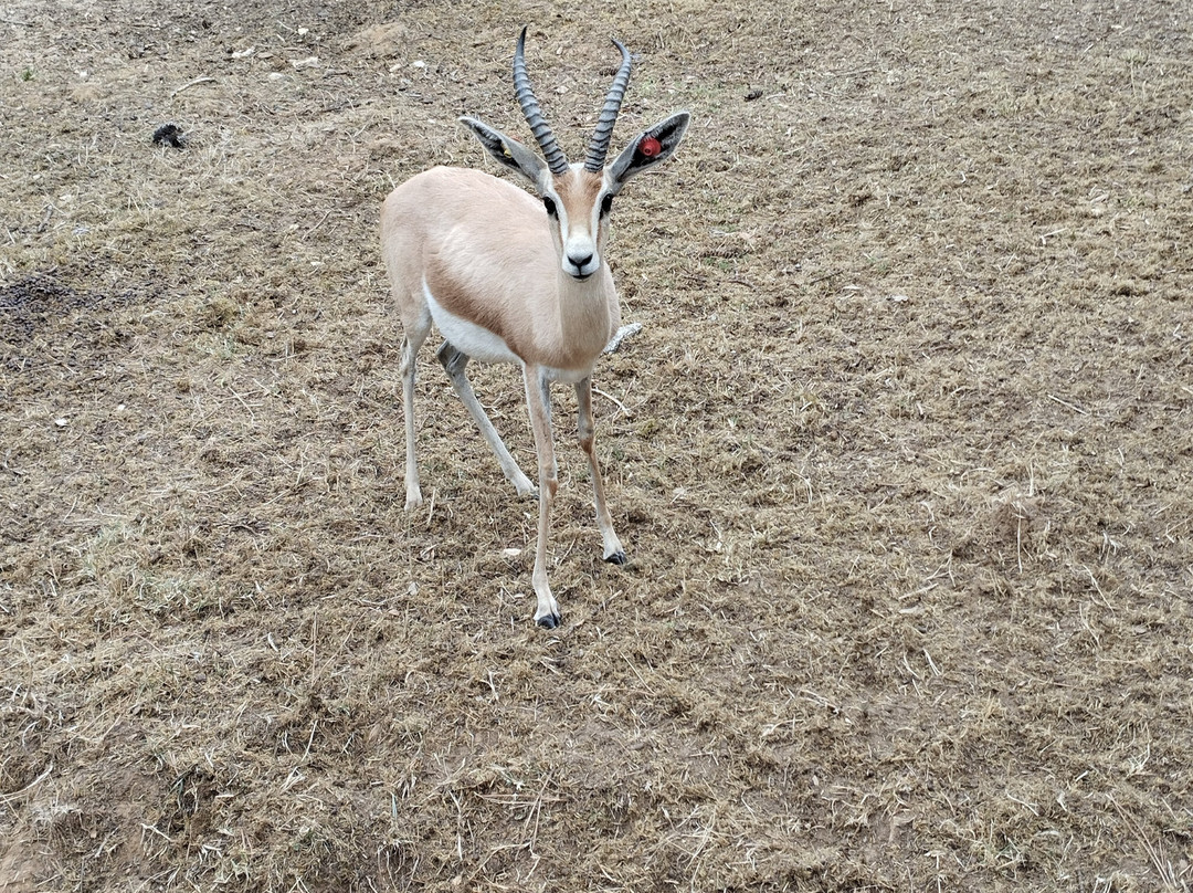 Zoo de La Palmyre-La Palmyre-Les Mathes必去景点