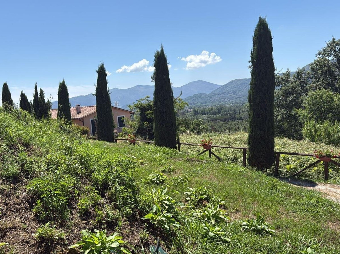 Fattoria Al Dotto-卢卡必去景点