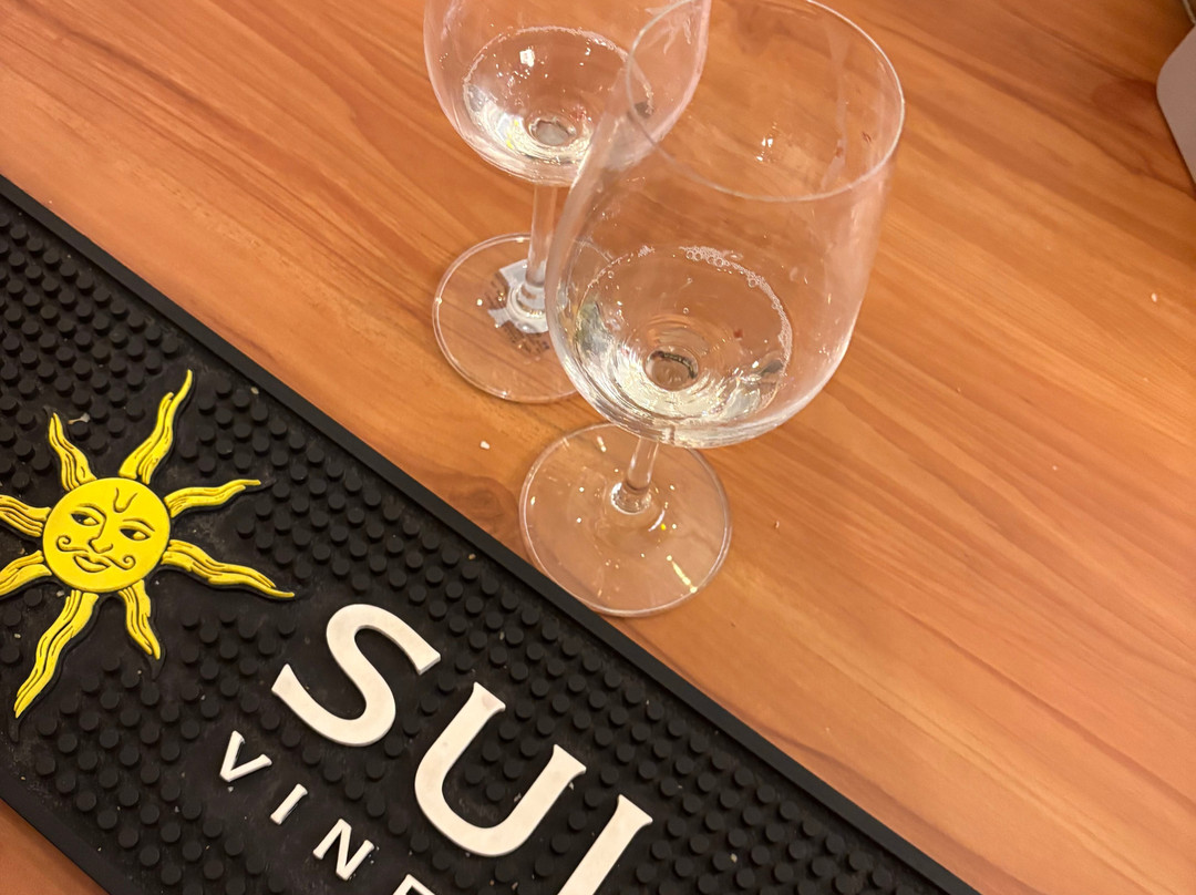 Sula Vineyards-纳西克必去景点