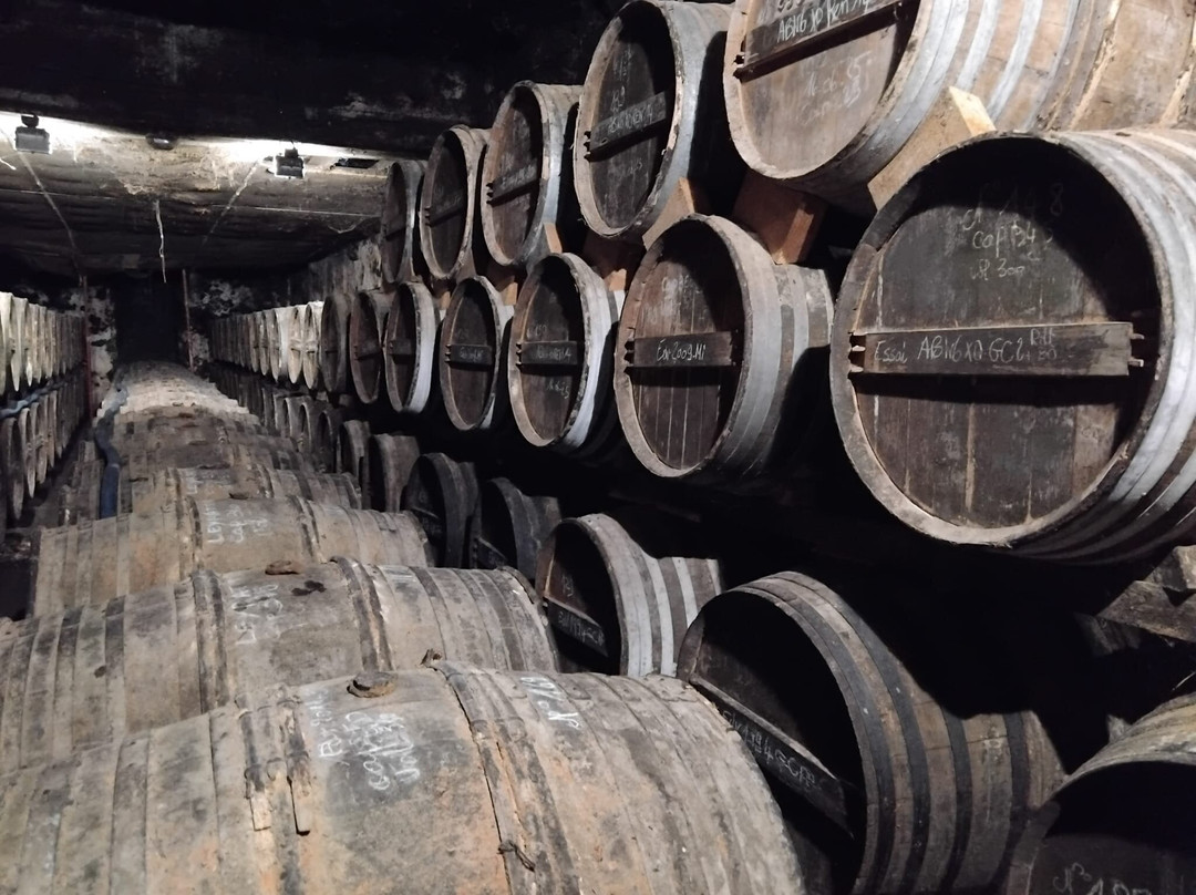 ABK6 Cognac Domaines Francis Abécassis-Claix必去景点
