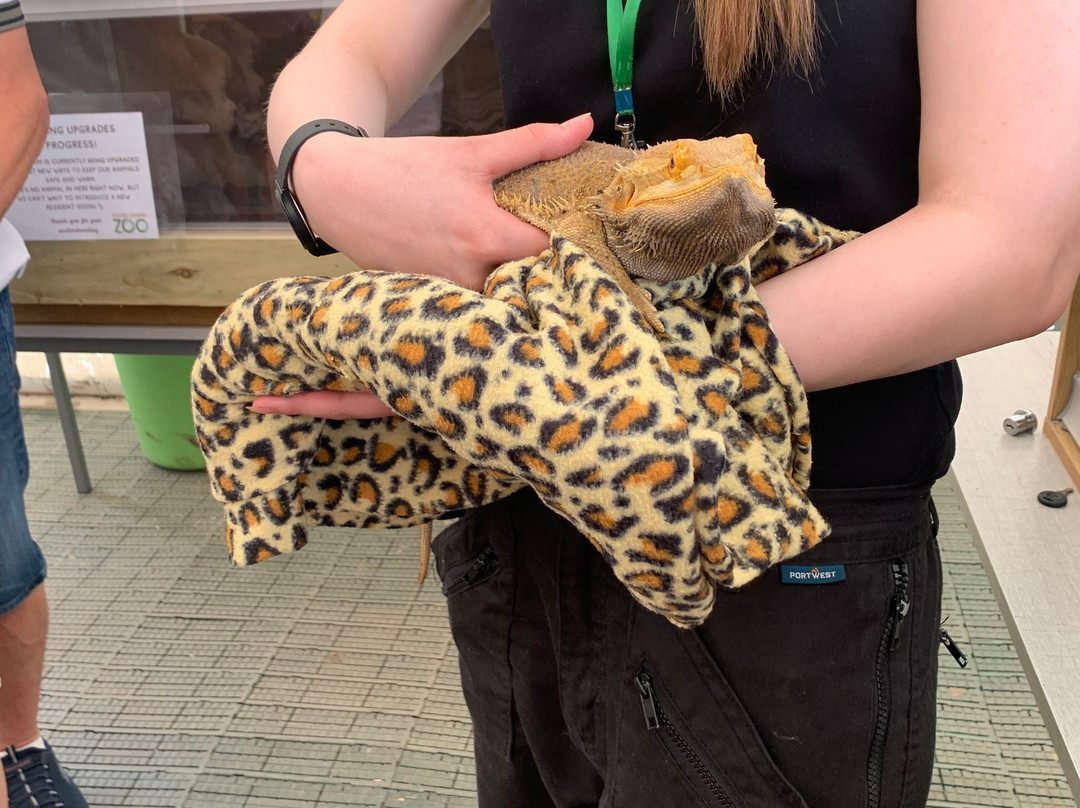 Holmes Chapel Zoo-Holmes Chapel必去景点