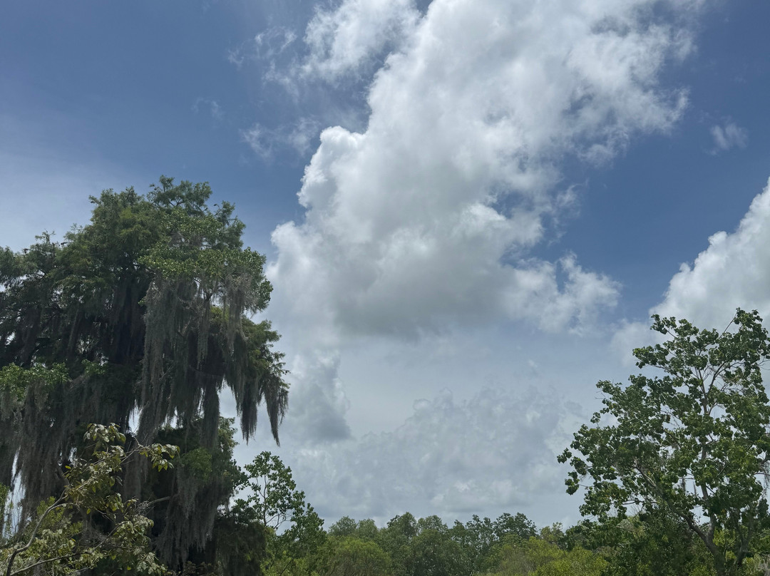New Orleans Airboat Tours-Marrero必去景点