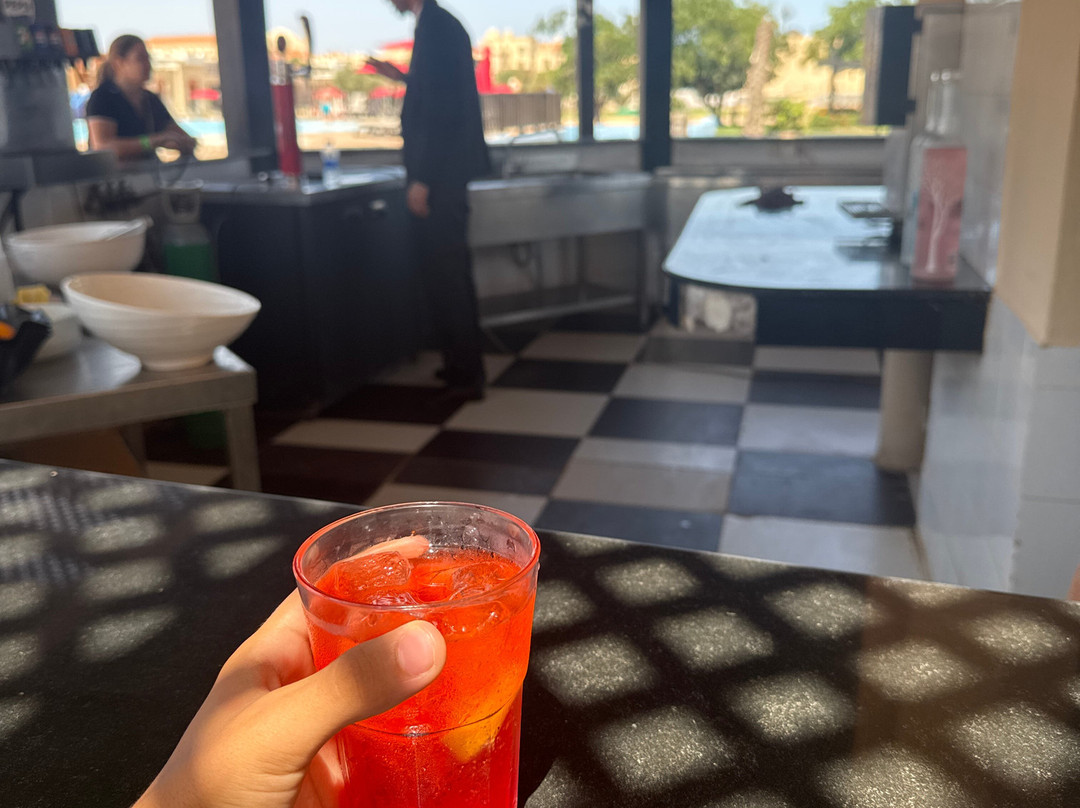 绿洲萨伊迪耶宫殿及蓝色珍珠酒店主图