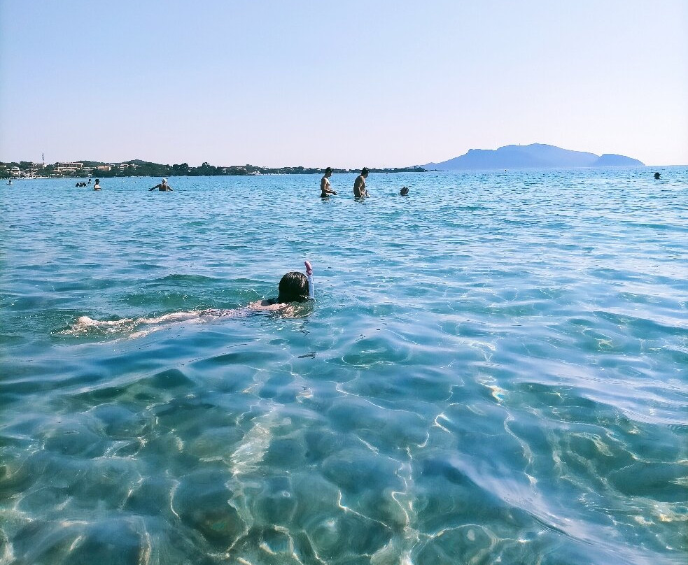 Spiaggia Pittulongu - La Playa-奥尔比亚必去景点